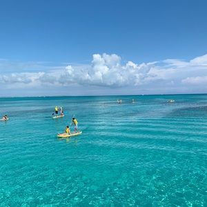 Meet your Posher, Madi